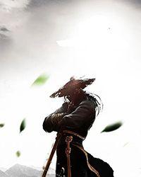 [三国]你管这叫谋士？